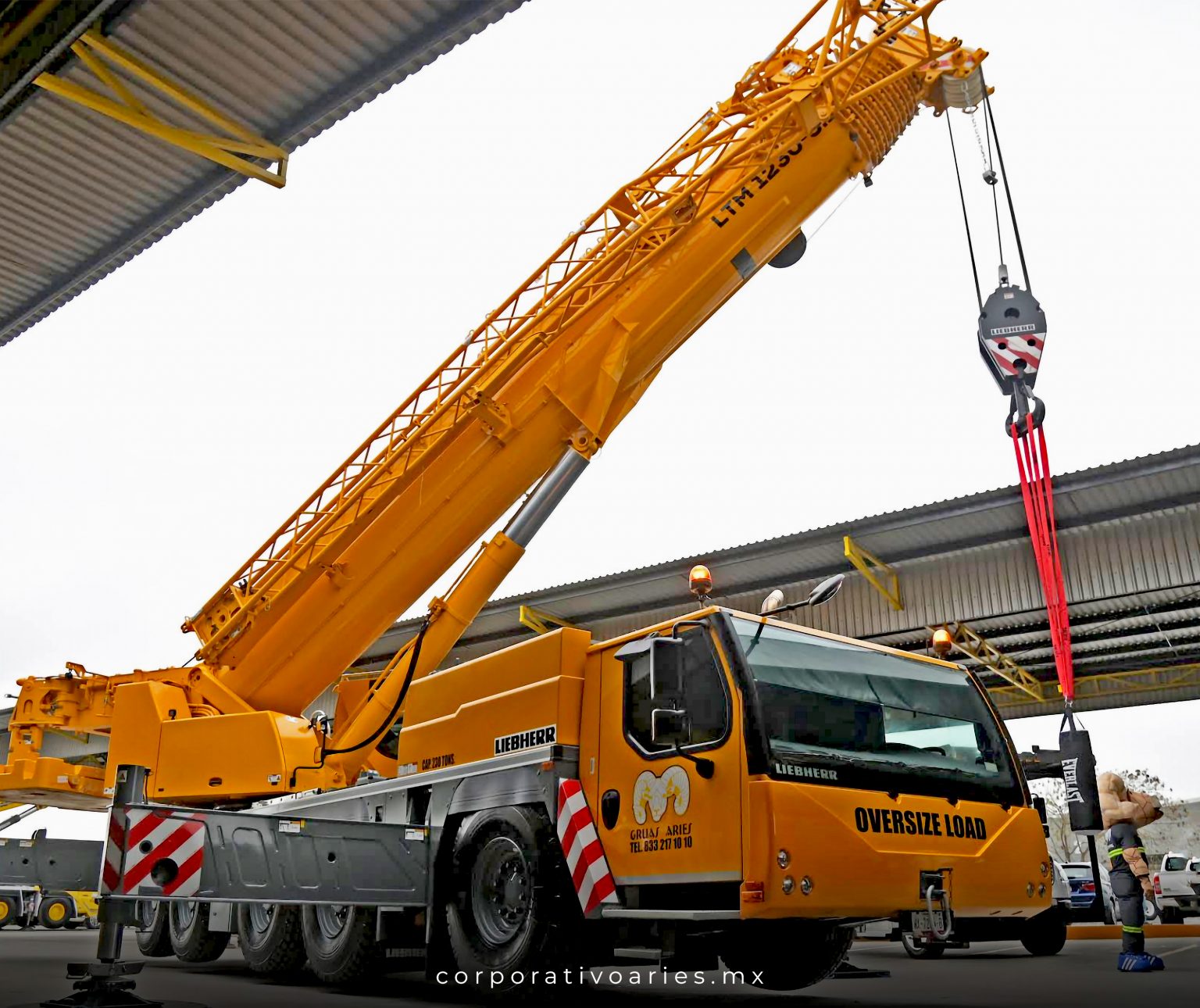 LIEBHERR (2)