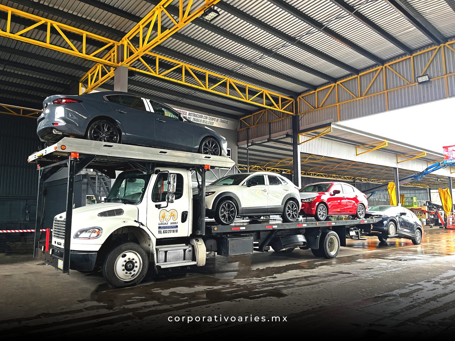 GRÁ 4 CARROS