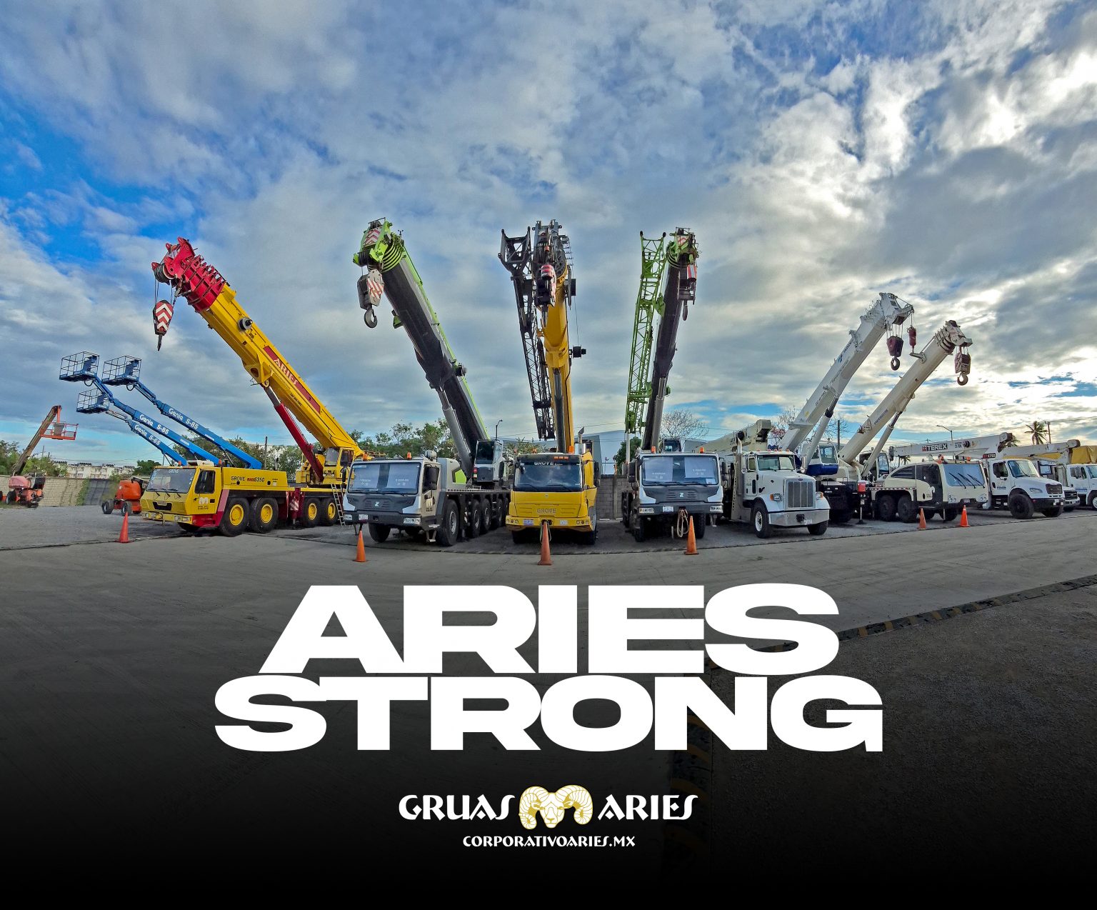 aries strong